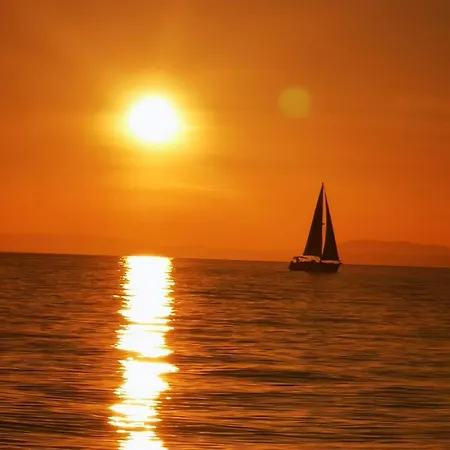 Ohana 船上ホテル